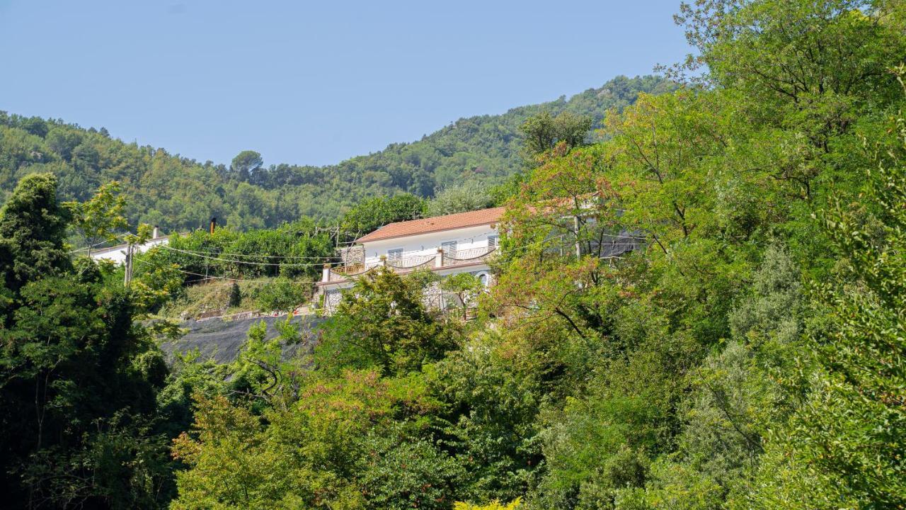 Tra Sole E Limoni Apartments Tramonti Exterior foto